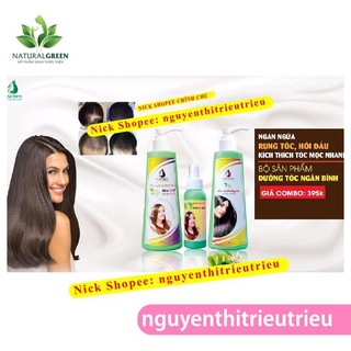 (CAO CẤP) Combo 3 sp Tinh dầu bưởi NGÂN BÌNH + Dầu gội bưởi + Dầu xả bưởi, Kích thích mọc tóc con dày dài, Giảm rụng tóc