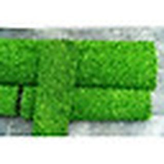 Thảm cỏ nhựa nhân tạo cao cấp kích thước 25 x 50cm
