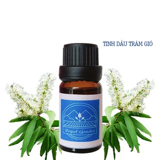 Tinh dầu Tràm Gió làm thơm phòng dung tích 10ml