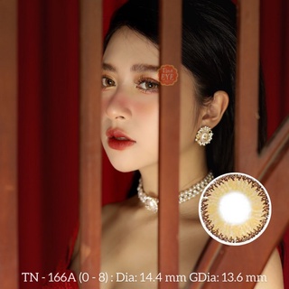Kính Áp Tròng Tinteye Lens 166a Nâu Pháp