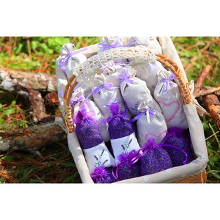 PVN2254 Túi thơm nụ hoa oải hương lavender khô T2