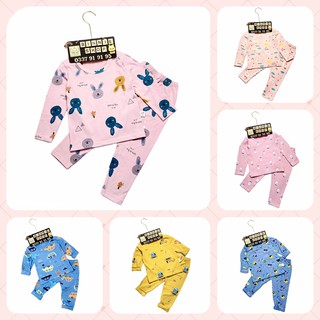 Bộ Cotton Dài Tay Họa Tiết Hoạt Hình Đáng Yêu Cho Bé size 80-130 (7~23kg) - Hàng Quảng Châu -B2021B