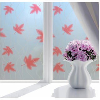 Decal giấy dán kính lá phong đỏ khổ rộng 0.45m