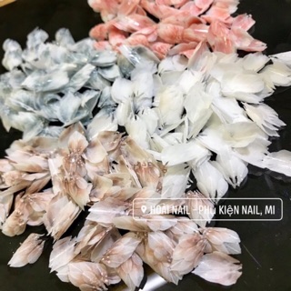 hoa bột ẩn gắn góc nhỏ siêu mỏng cánh (1b)