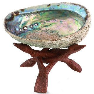 Vỏ Bào Ngư Đốt Xô Thơm Thanh Tẩy (Kèm Đế Gỗ)