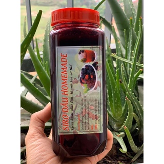 Siro dâu tằm đường phèn nguyên chất, thơm ngon, bổ dưỡng – Chai 800gram bảo quản 1 năm