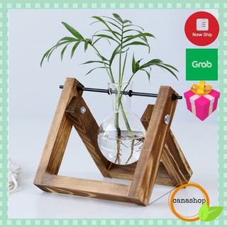 Bình thuỷ tinh trang trí bàn làm việc trồng cây thuỷ sinh để bàn mini Canashop