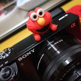 Hotshoe ngộ nghĩnh cài chân Flash