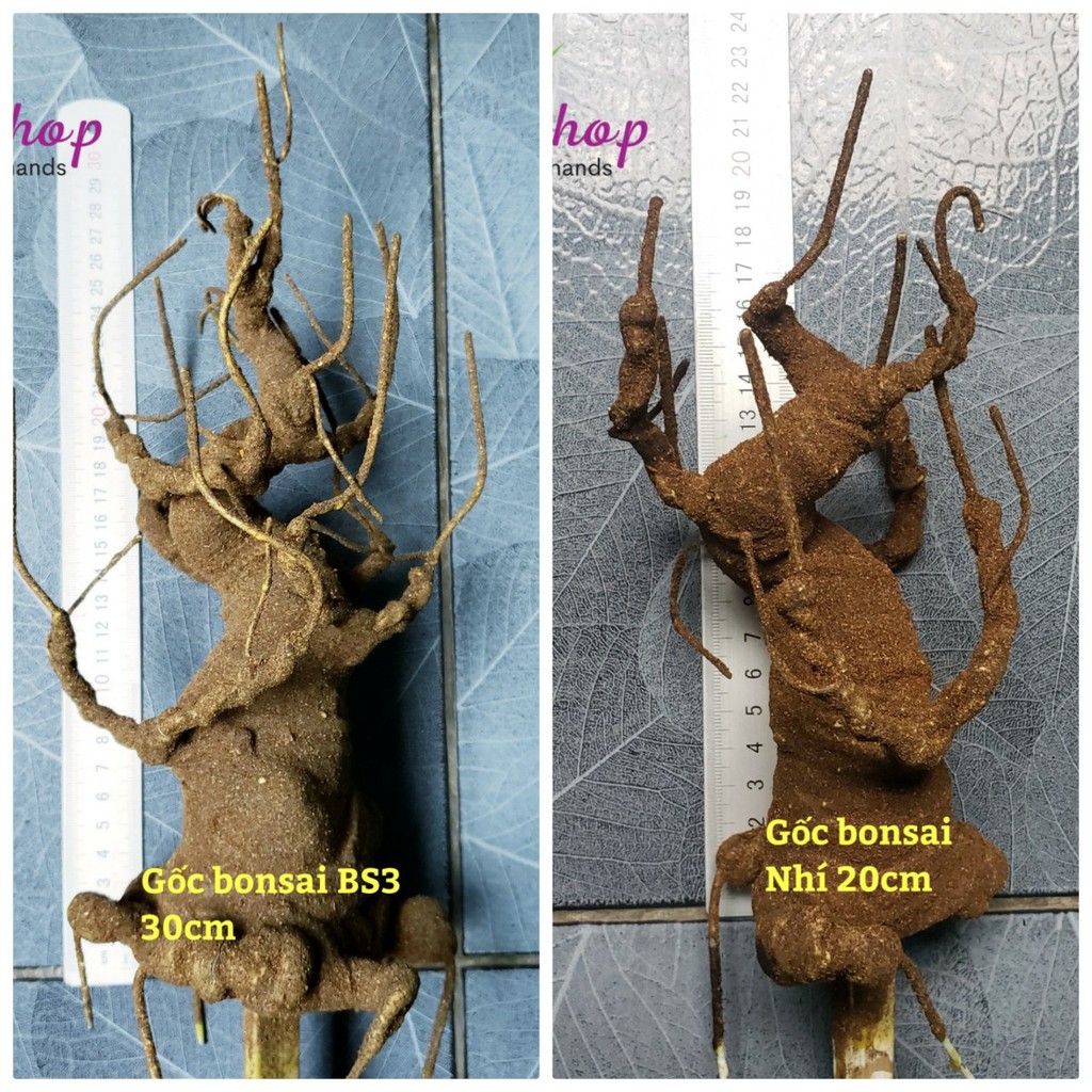 Gốc bonsai giả