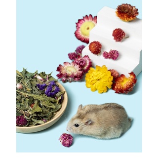 Hoa cỏ khô YEE 50gr cho thỏ bọ hamster nhím sóc....