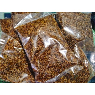 Sâu gạo sấy khô 100gr bổ béo cho hamster, nhím, sóc, gà, chim