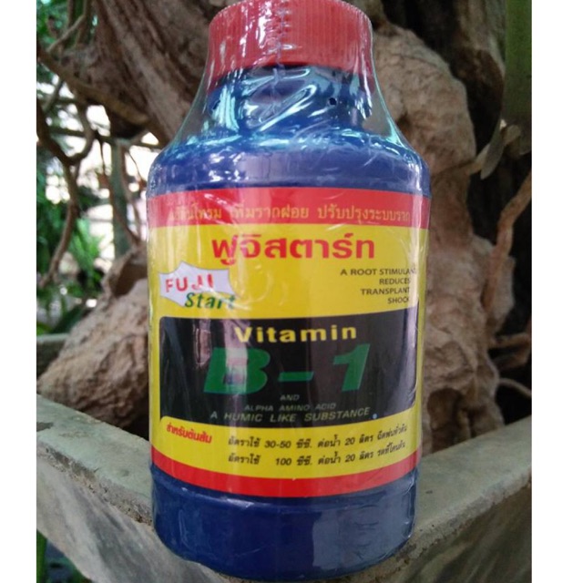 B1 Thái 100ml