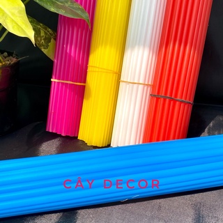 Que chống nhựa XINH XẮN cho Kiểng Lá, size 40cm, 50que/bó