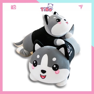Gấu bông giá rẻ husky ôm ngủ mèo cute đồ chơi đáng yêu cho bé size 50cm 60cm 90cm