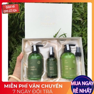Combo Dầu Gội- Dầu Xả- Xịt Bưởi Vijuly Trị Rụng Tóc Kích thích Mọc Tóc