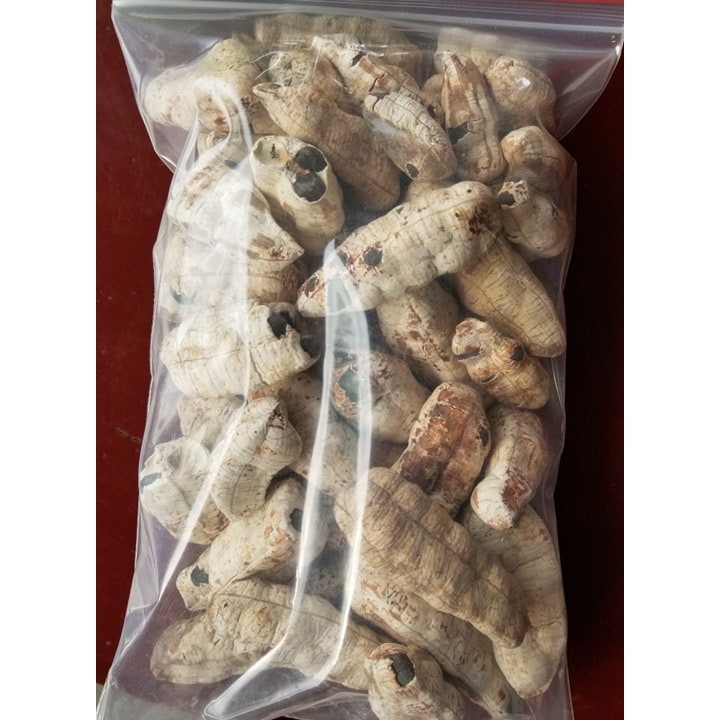 Trái Chuối cô đơn (Chuối mồ côi)