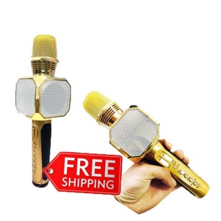 MICRO BLUETOOTH KARAOK SD 10 HÀNG CÔNG TY