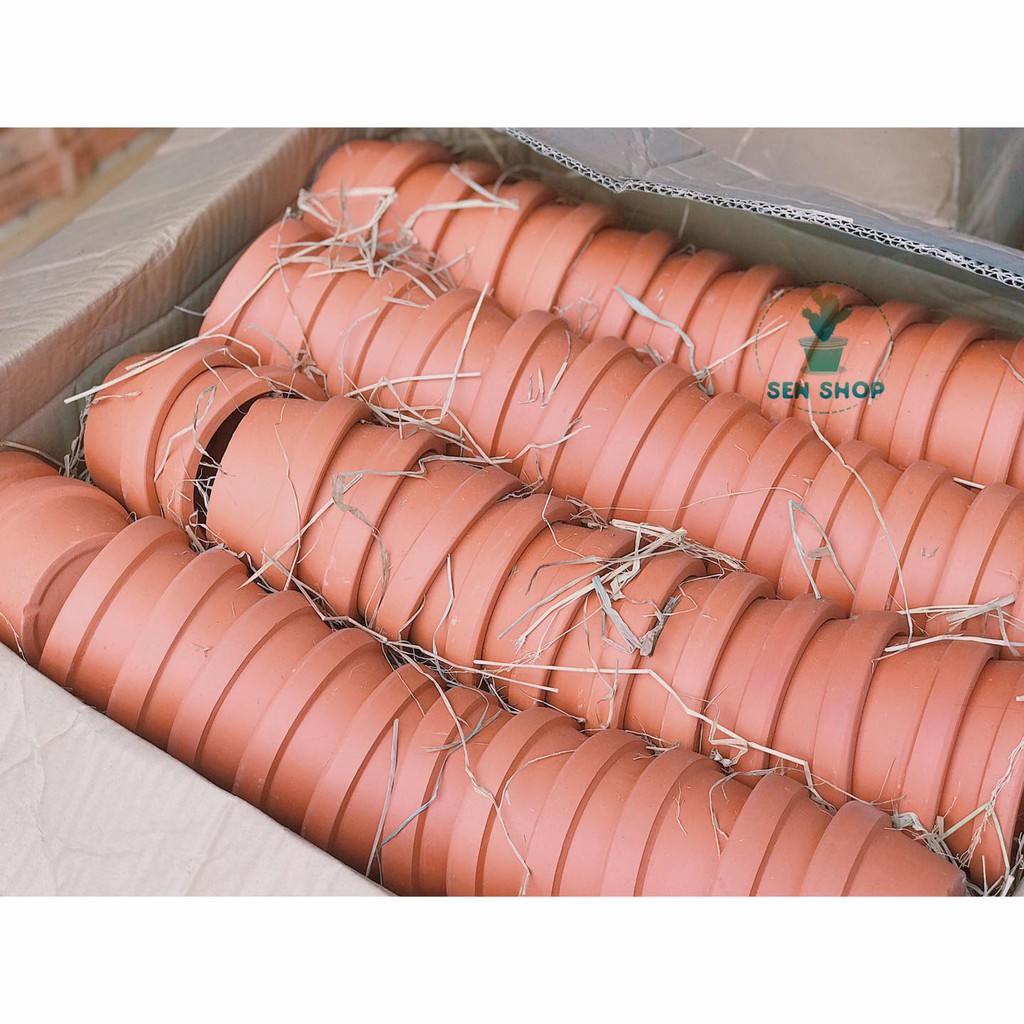 chậu đất nung 14 cm.