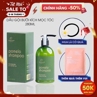 Dầu gội Pomelo Shampo, Dầu Gội Bưởi Vijully Ngăn Gãy Rụng &amp; Làm Dày Tóc Dành Cho Da Đầu Nhờn 280ml