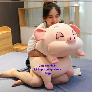 Gấu bông heo lười mắt híp- lợn béo ú - không mền M1