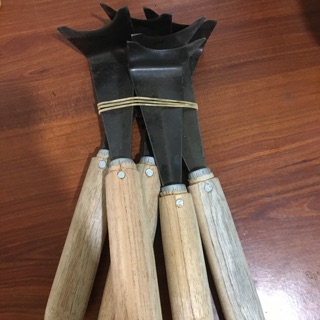 Dạo cạo mía Hùng Cúc