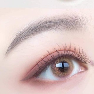 [LENS 1 NGÀY] Áp Tròng BTS DESTINY BROWN Lens Nâu Vàng Ẩm Cao Không Viền Không Giãn Tông Tây Phù Hợp Cho Mắt Nhạy Cảm