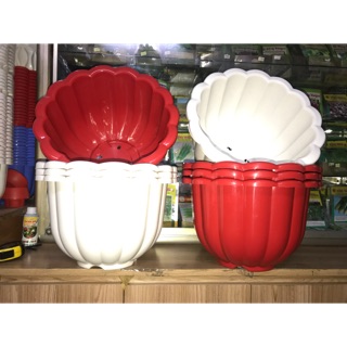 combo 2 Chậu nhựa bí khổng lồ size 36cm