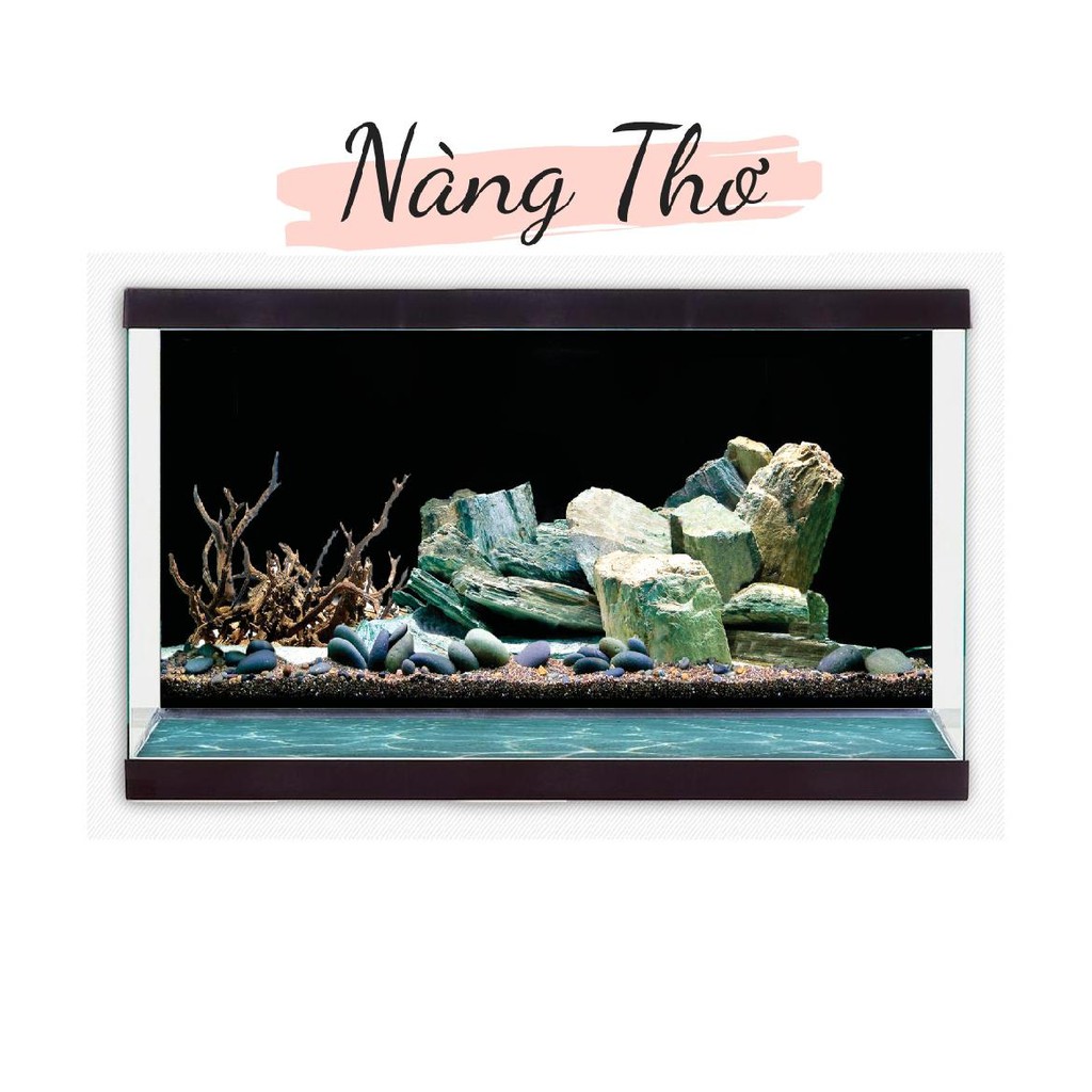 DECAL 3D DÁN HỒ CÁ_TRANH 3D HỒ CÁ
