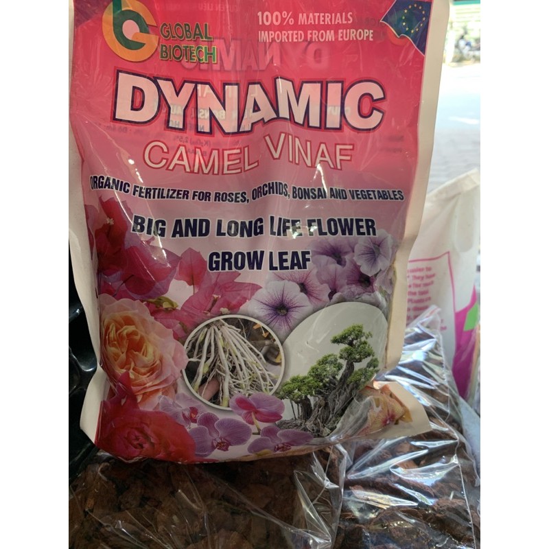 Phân Dynamic mẫu mới