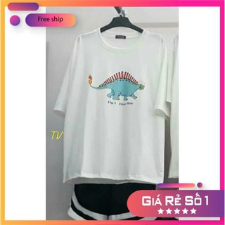 COMBO TIẾT KIỆM] Set 1 áo in hình khủng long +quần đùi 2 viền