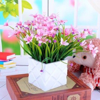 Cụm hoa thuỷ tiên điểm cực xinh
