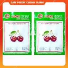 HẠT GIỐNG CHERY ĐỎ GÓI 10 HẠT