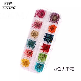 Sét 12 Bộ Màu Hoa Khô Làm Nail