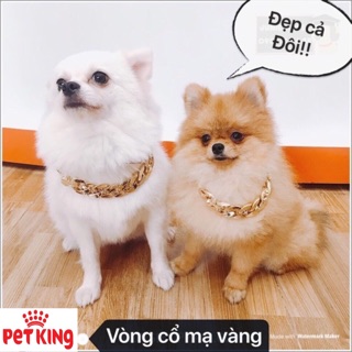 Dây Chuyền Mạ Vàng Sang Chảnh Cho Thú Cưng