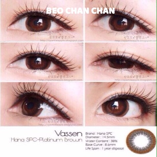 Lens vasen chính hãng Hàn Quốc_platinum