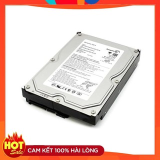 Ổ Cứng HDD Seagate 250GB - Bảo Hành 24 Tháng [hana]