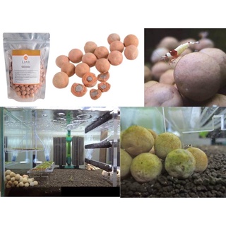 Gốm Sinh Sản Cho Tép Lian - 1 VIÊN