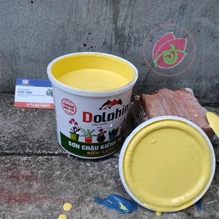 Sơn chậu hệ nước màu vàng nắng Dolphin 1kg