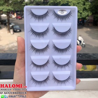Lông mi giả 3D 107 5 cặp cao cấp chính hãng HALOMI
