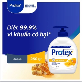 Nước rửa tay Protex 250ml