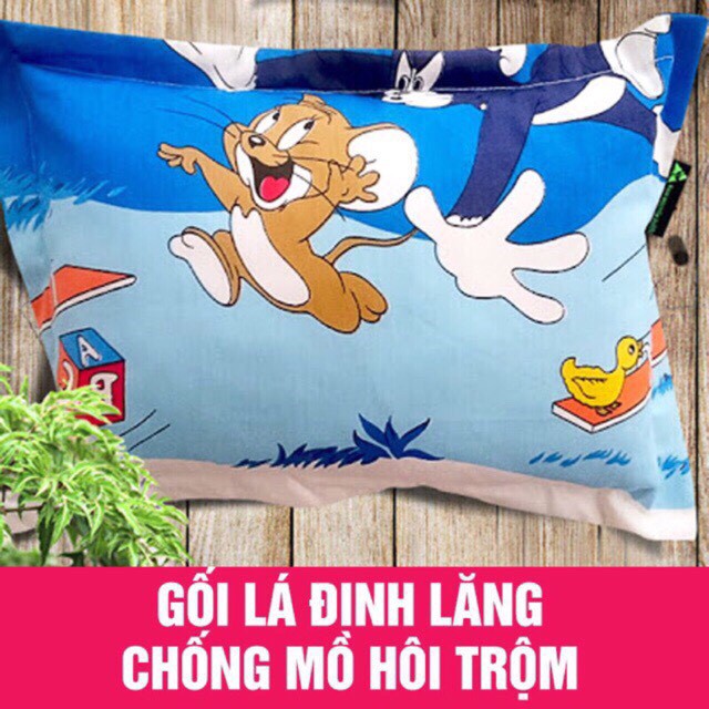 Gối đinh lăng chống đổ mồ hôi