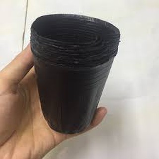 TÚI BẦU ƯƠM CÂY GIỐNG (13x 15cm)