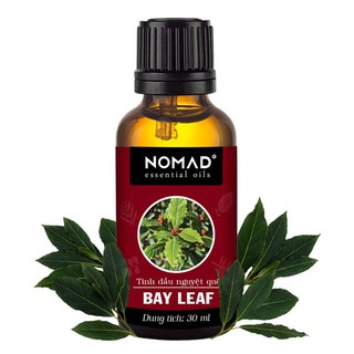 Tinh Dầu Thiên Nhiên Nguyệt Quế Nomad Bay Leaf Essential Oil