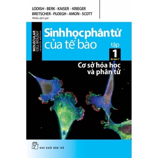 [Mã LIFEXANH03 giảm 10% đơn 500K] Sách - Sinh Học Phân Tử Của Tế Bào (tập 1)