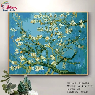 Tranh tô màu theo số Hoa mai Van Gogh căng khung 40x50cm dày 2.5cm HL0067G