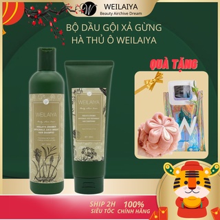Bộ gội xả gừng hà thủ ô Weilaiya giảm rụng, kích mọc tóc chính hãng, dầu gội mượt tóc