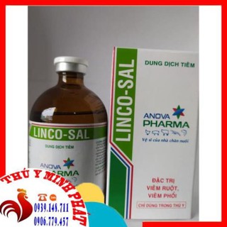 LINCO-SAL CHAI 100ML (LINCOSAL)