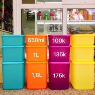 Tupperware Bộ hộp bảo quản thực phẩm Summer Fresh