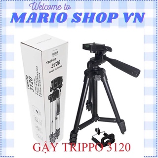 Gậy chụp hình 3 chân Trippo 3120