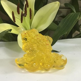 Thiềm thừ chỉ 49k